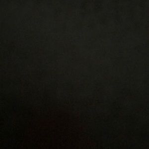 Meet your Posher, Sienna